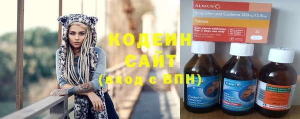 прущие грибы Кулебаки