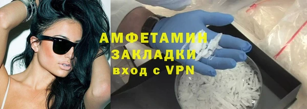 прущие грибы Кулебаки