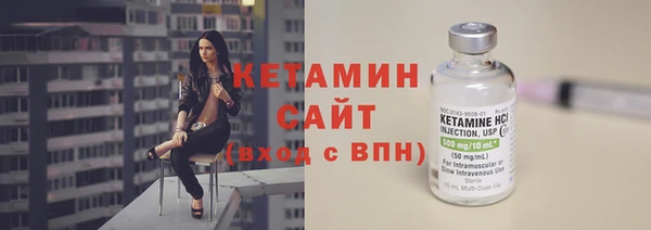 прущие грибы Кулебаки