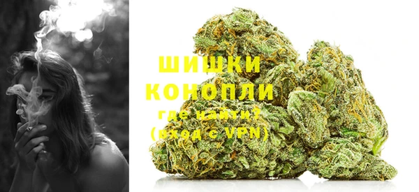 прущие грибы Кулебаки