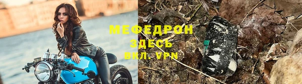 прущие грибы Кулебаки
