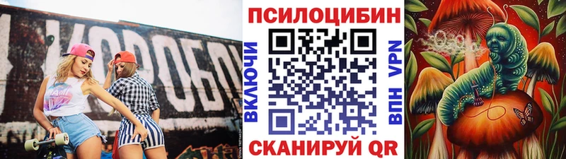 Галлюциногенные грибы Cubensis  Называевск 